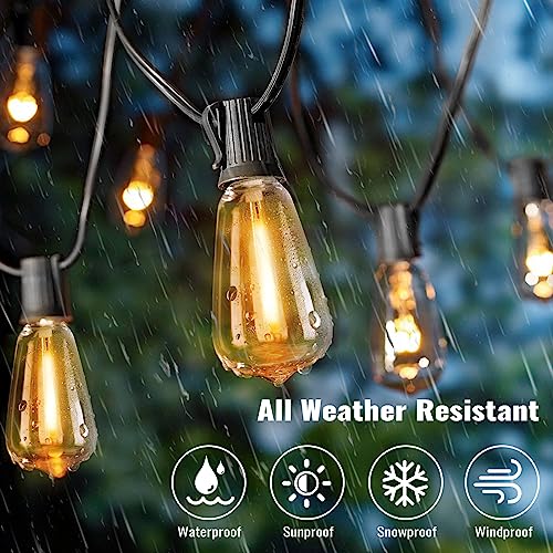 50+2 LED Edison Bulb String Lights for VIP Outdoor Parties