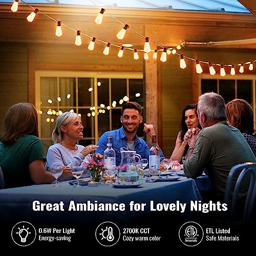 50+2 LED Edison Bulb String Lights for VIP Outdoor Parties