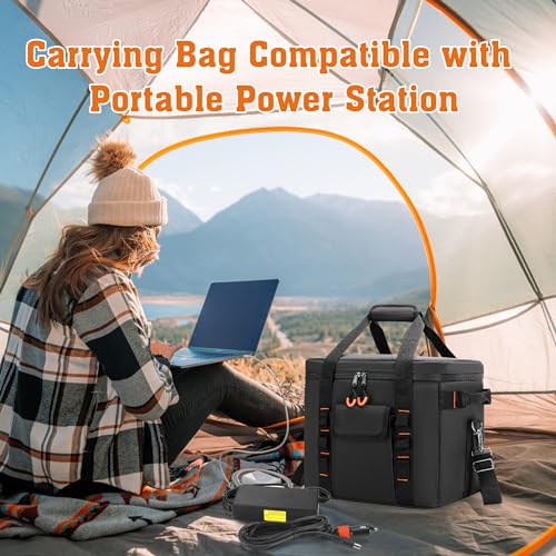 VIP Carrying Case for Power Stations with Dividers