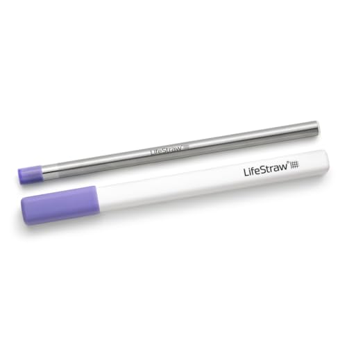 LifeStraw Stainless Steel Filter Sip with Carry Case