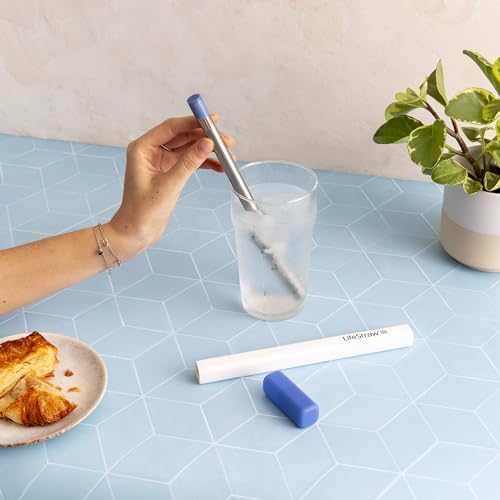 LifeStraw Sip Stainless Steel Water Filter Straw, Carry Case