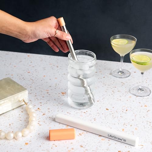 VIP LifeStraw Sip: Reusable Stainless Steel Water Filter