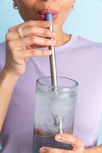 LifeStraw Sip Stainless Steel Water Filter Straw, Carry Case