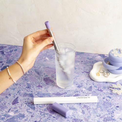 LifeStraw Stainless Steel Filter Sip with Carry Case