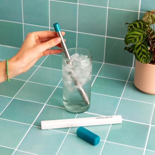 LifeStraw Sip Stainless Steel Water Filter with Carry Case