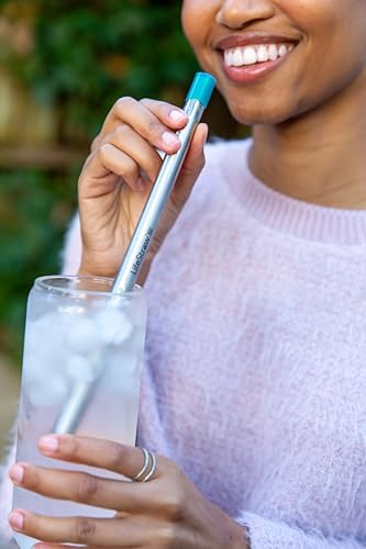 LifeStraw Sip Stainless Steel Water Filter with Carry Case
