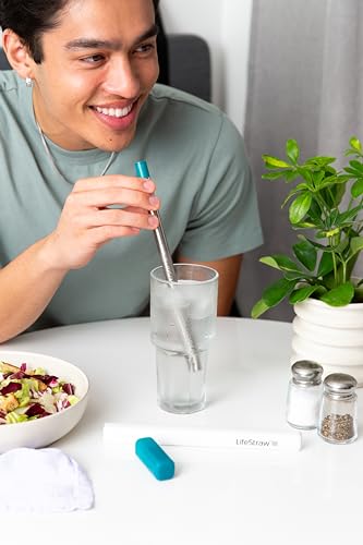 LifeStraw Sip Stainless Steel Water Filter with Carry Case