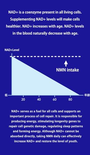 Premium NMN 300mg Supplement for Cellular Health