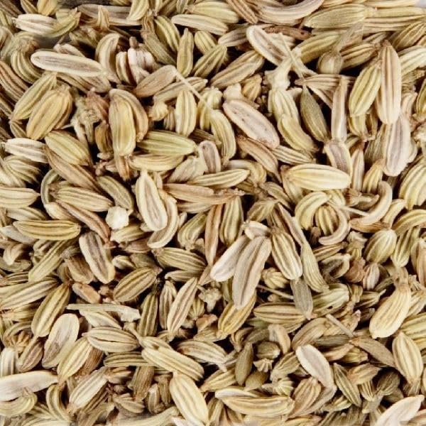 454g Splendor Garden Organic Fennel Seed VIP Special