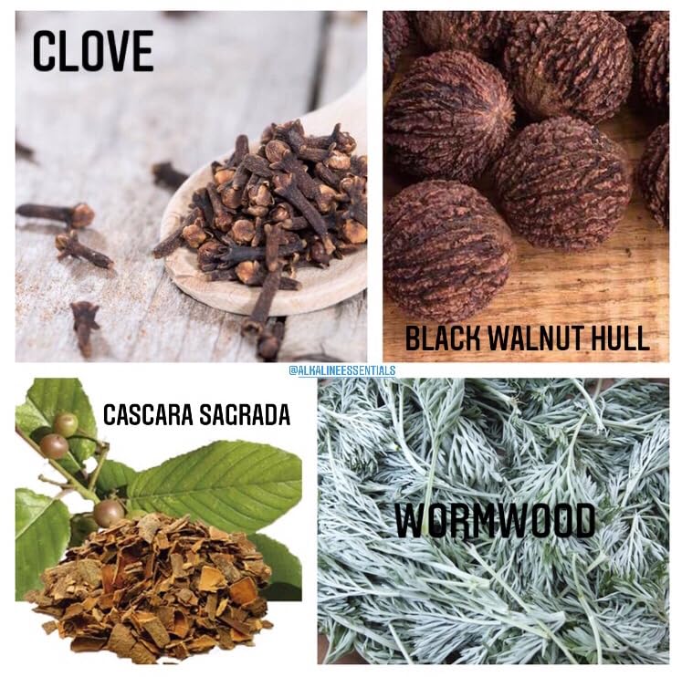 VIP Black Walnut Hull Kleanse Capsules/Alkaline Essentials