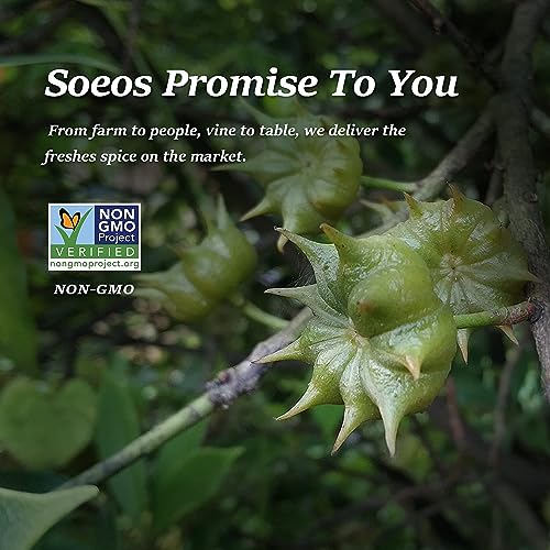 Premium Non-GMO Star Anise Seeds for Baking & Tea
