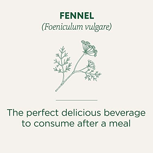Traditional Medicinals - Organic Fennel Herbal Tea - 16 Bags