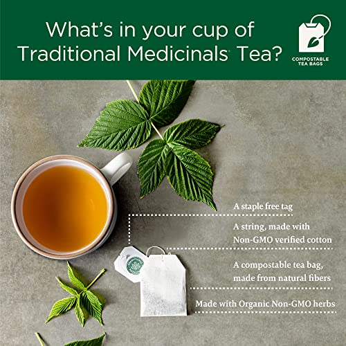 Traditional Medicinals - Organic Fennel Herbal Tea - 16 Bags