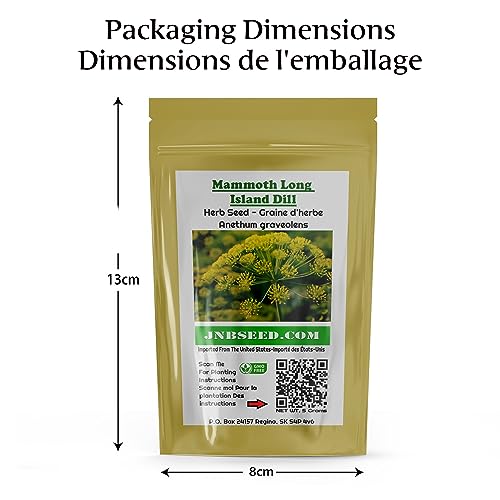 Delicious Mammoth Dill Seeds for Culinary Creations