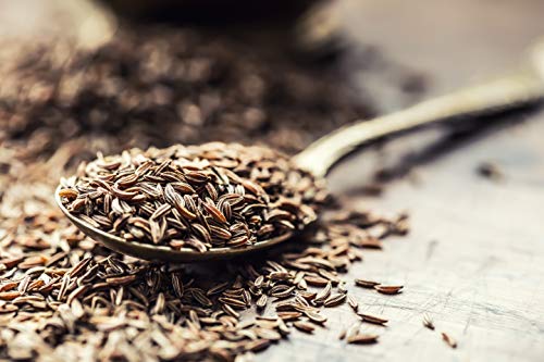 Exclusive Club House Coriander Seed, 285g