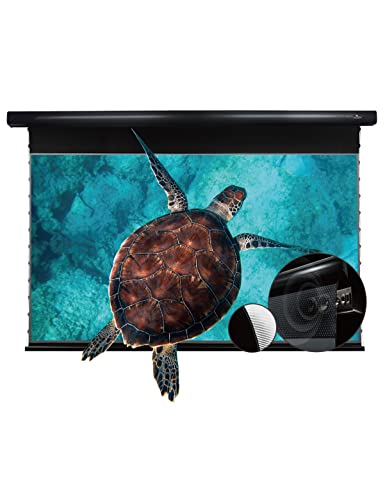 VIVIDSTORM-ALR UST Motor Tension Screen Home Theatre