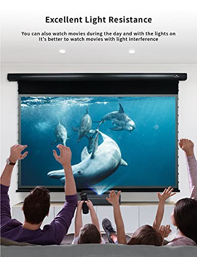 VIVIDSTORM-ALR UST Motor Tension Screen Home Theatre