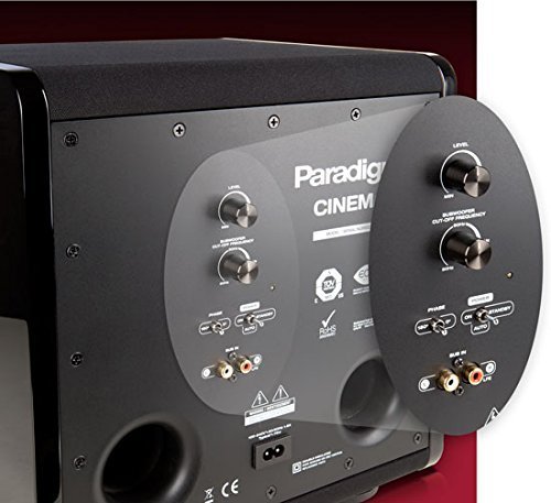 VIP Cinema Experience: Paradigm 100 CT 5.1 System