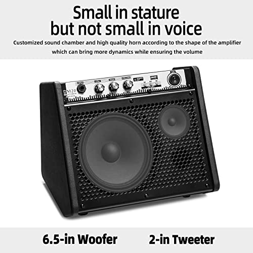 Coolmusic DM20 20W Bluetooth VIP Monitor Amplifier Speaker