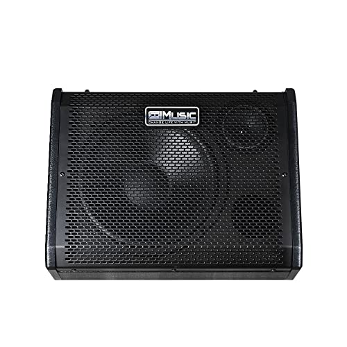 Coolmusic DM80 80W Bluetooth Personal Monitor Amplifier
