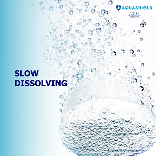 Aquashield VIP Chlorine Mini Pucks for Spa & Hot Tubs