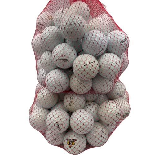 VIP Golf Ball Planet Pro V1x Mixed Years
