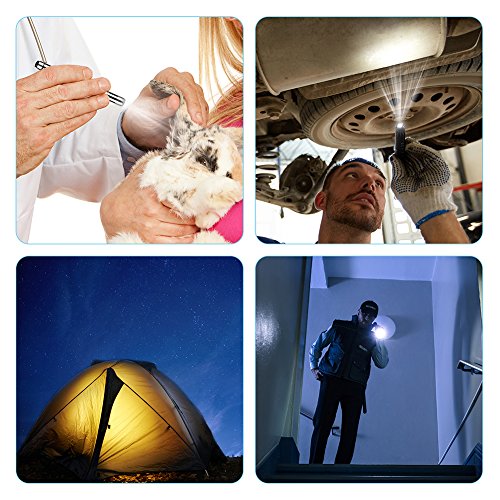 VIP Nursing Penlight with Pupil Gauge Measurements, 4X AAA