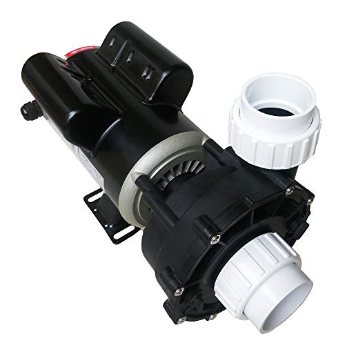 VIP Spa Pump 1HP 2-Speed 48-Frame, 115V