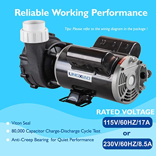 LINGXIAO 2.5HP Single Speed SPA Pump Motor