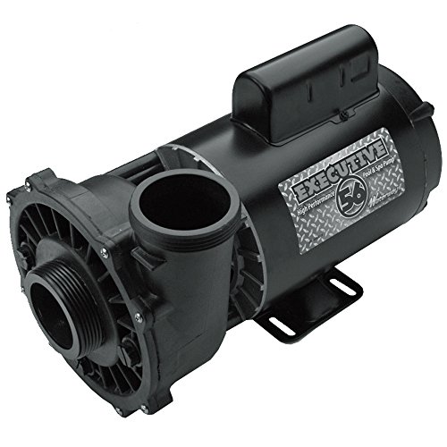 Waterway Plastics Spa Pump 3 hp VIP 230V