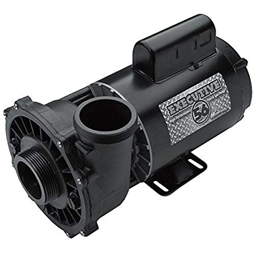 VIP Spa Pump: Waterway Plastics 5 hp 230V