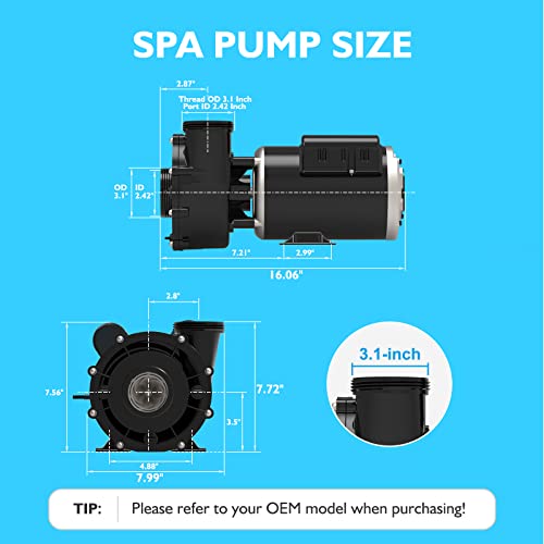 LINGXIAO 2.5HP Single Speed SPA Pump Motor