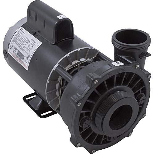 Waterway Plastics 2.0 hp 230V 2-Speed Pump