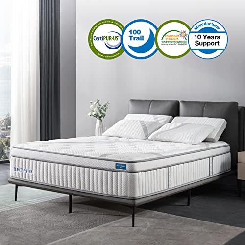 Lechepus 14" Hybrid Memory Foam Queen Mattress