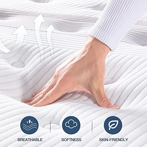 Lechepus 14" Hybrid Memory Foam Queen Mattress