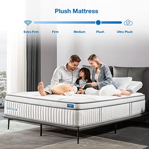 Lechepus 14" Hybrid Memory Foam Queen Mattress