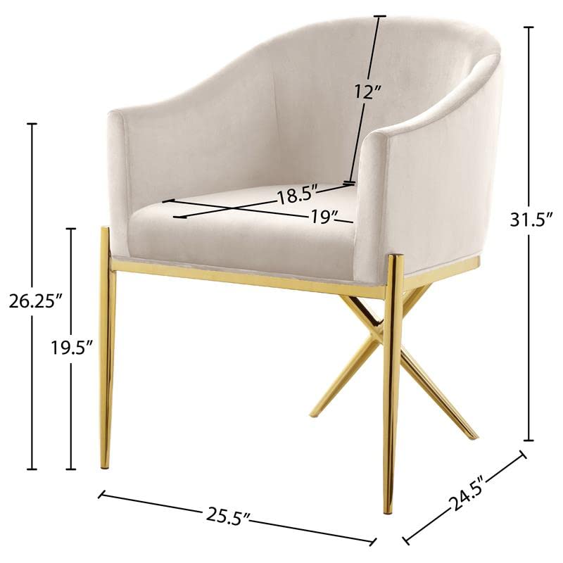 Xavier Collection Modern Velvet Upholstered Dining Chair Cream