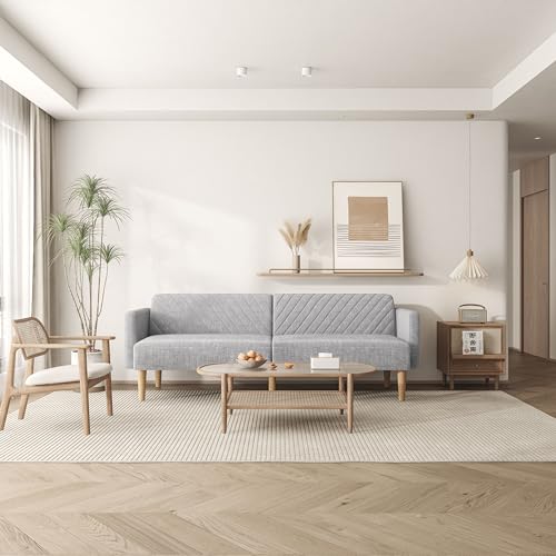 Aykah Celeste Modern Convertible Sofa Bed Couch, Gray