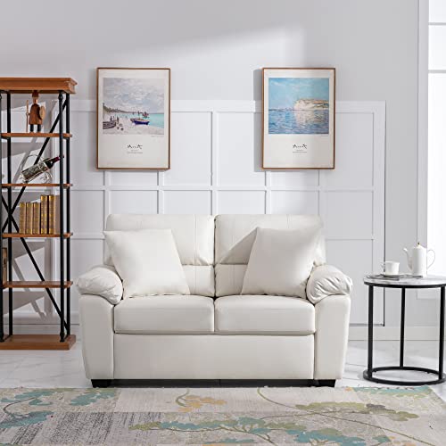 White Modern Luxury Loveseat Sofas for VIP Shopping