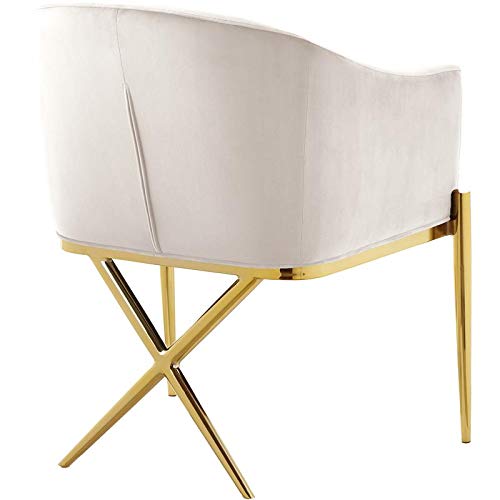 Xavier Collection Modern Velvet Upholstered Dining Chair Cream