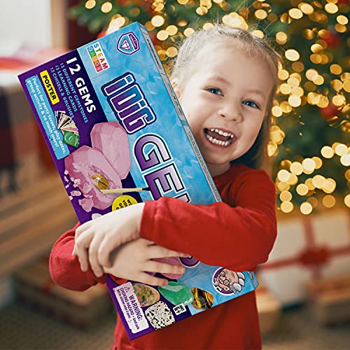 XXTOYS Gemstone Dig Kit with 12 Real Precious Stones