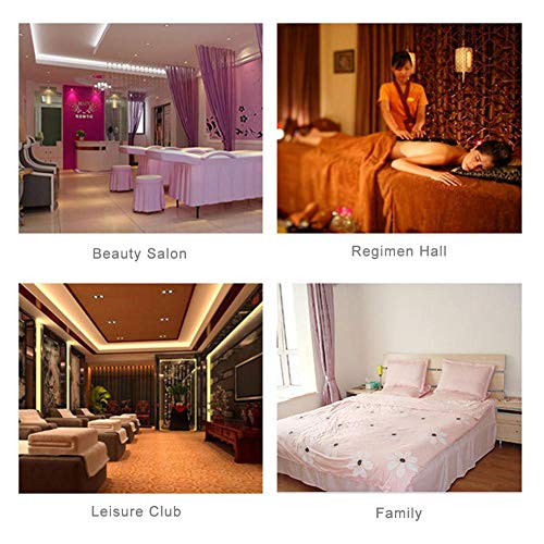 VIP Far Infrared Sauna Blanket with Remote Control