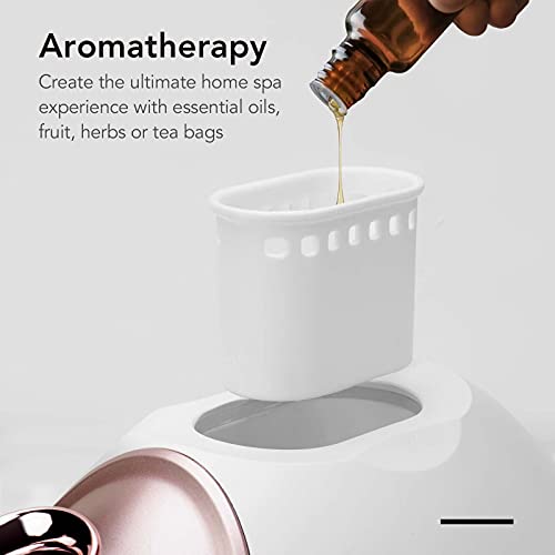 Fancii Nano Ionic Facial Steamer with Aromatherapy (VIP)