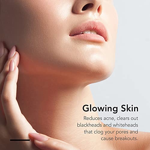 Fancii Nano Ionic Facial Steamer with Aromatherapy (VIP)