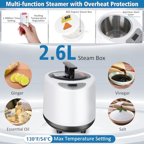 Portable Sauna Box with Steam Generator and Remote Control