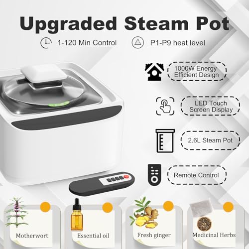 VIP Home Spa Portable Sauna with Remote Control