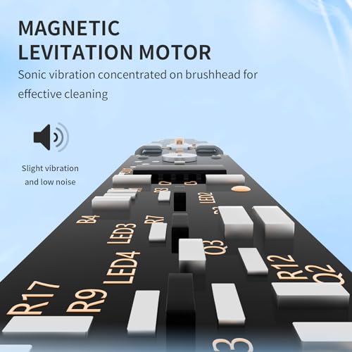 Ultimate Ultrasonic Dual Toothbrush Set for VIPs