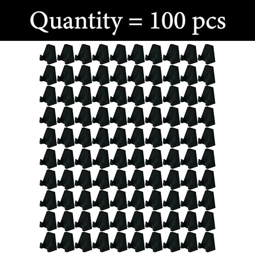 PINEAPPLE Coin Display Stand - Pack of 100