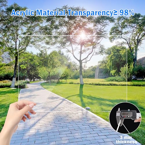 Acrylic Lego Display Case with Wood Base Organizer