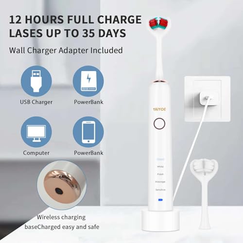 Ultimate Ultrasonic Dual Toothbrush Set for VIPs
